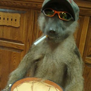 Meet your Posher, Chet